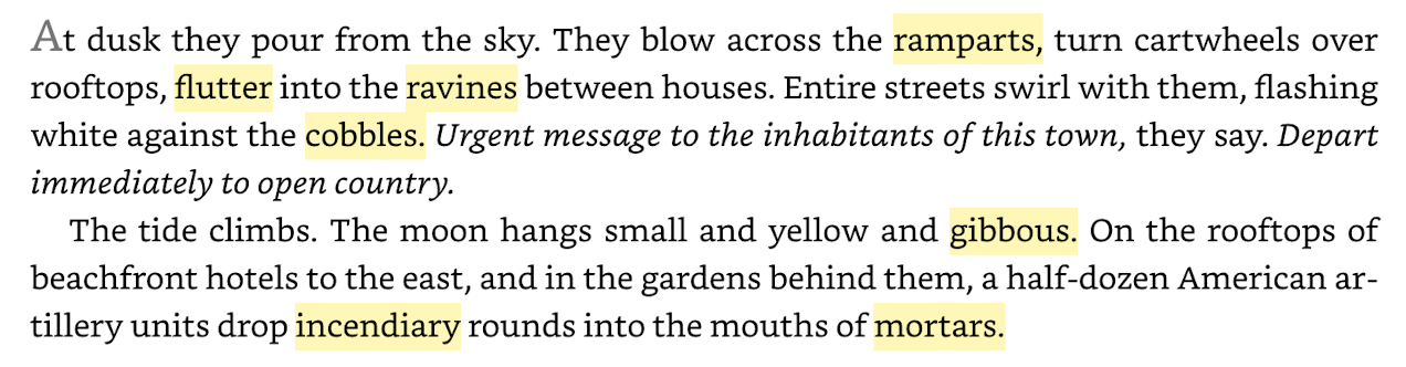new-words-in-fictions