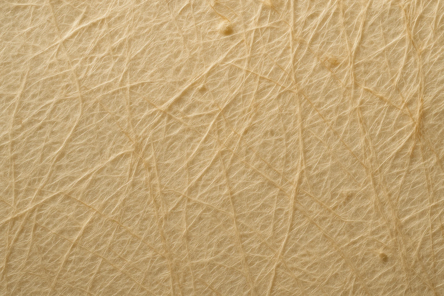 A macro view of handmade paper fills the frame; what looked uniform at distance reveals, on inspection, a dense interlocking field of individual fibers.